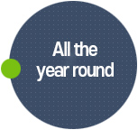 All the year round 